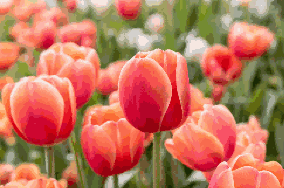 海关数据,凯发k8国际海关数据,荷兰海关数据