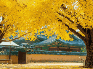 韩国外贸数据,外贸数据,凯发k8国际外贸数据