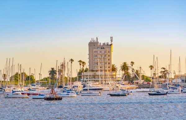 乌拉圭海关数据查询平台（附免费试用查询名额)