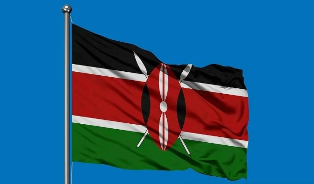 肯尼亚海关数据查询平台（附免费试用查询名额）